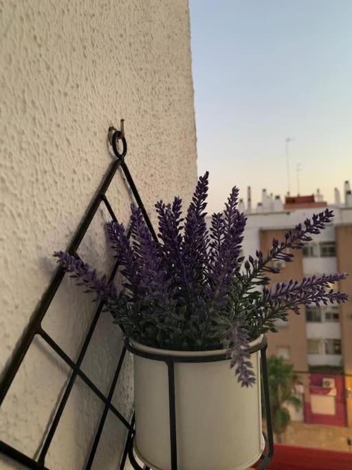 Anfitriones De Glamour - Albor De Sevilla Montequinto Εξωτερικό φωτογραφία
